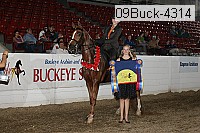 09buck-4314 proof