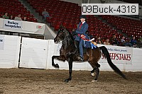 09buck-4318 proof