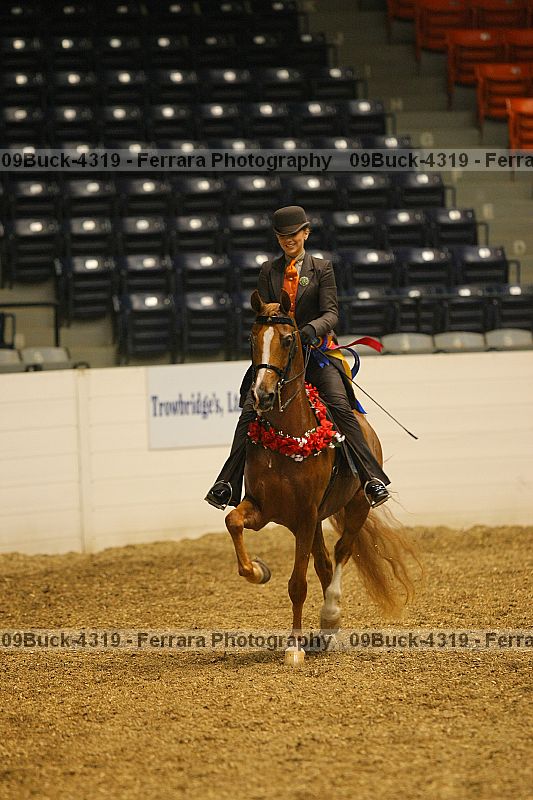 Proof 09buck-4319