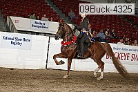 09buck-4325 proof
