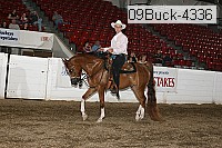 09buck-4336 proof