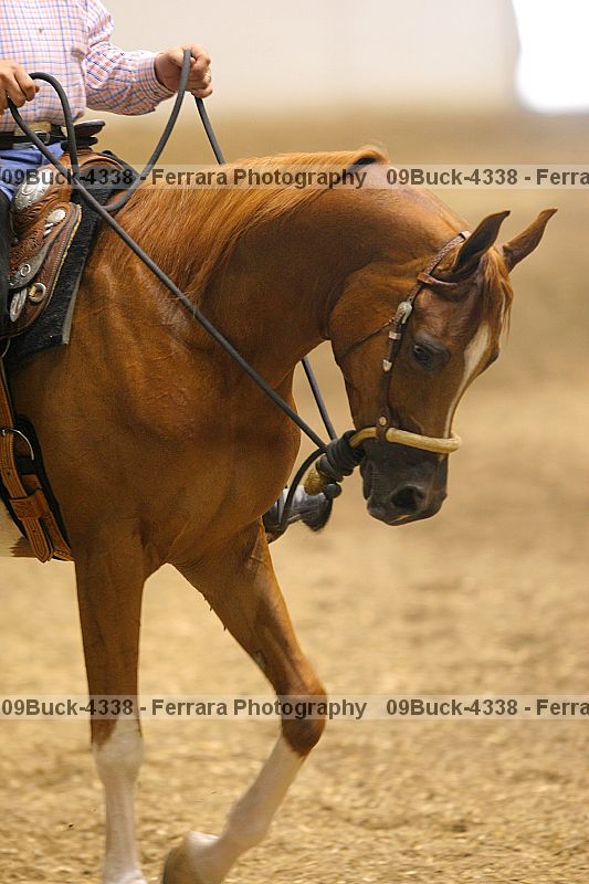 Proof 09buck-4338