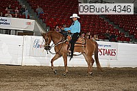 09buck-4346 proof