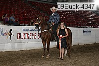 09buck-4347 proof