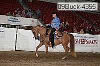 09buck-4355 proof