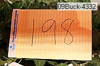 09buck-4332 proof