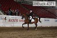 09buck-4371 proof