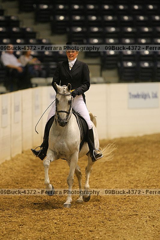 Proof 09buck-4372