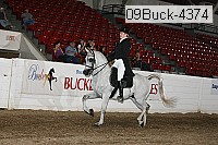 09buck-4374 proof