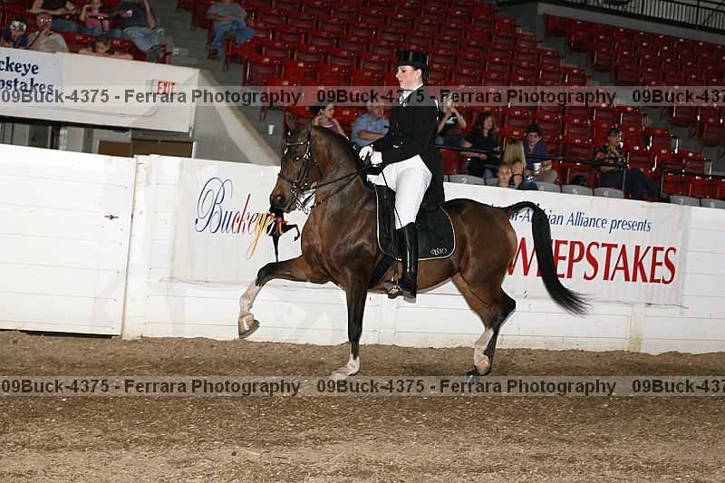 Proof 09buck-4375