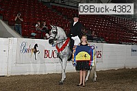 09buck-4382 proof