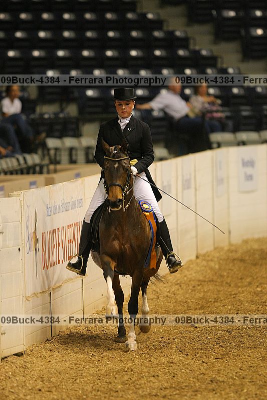 Proof 09buck-4384