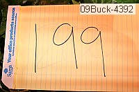 09buck-4392 proof