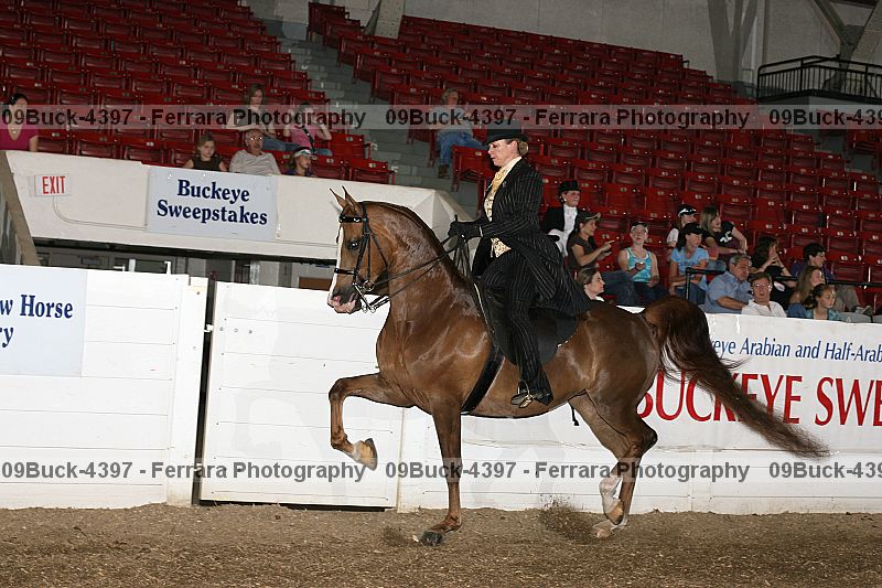 Proof 09buck-4397