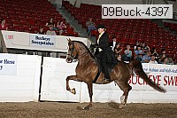 09buck-4397 proof