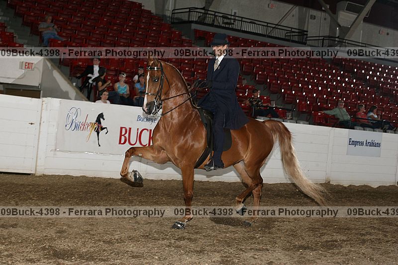 Proof 09buck-4398