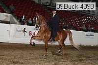 09buck-4398 proof