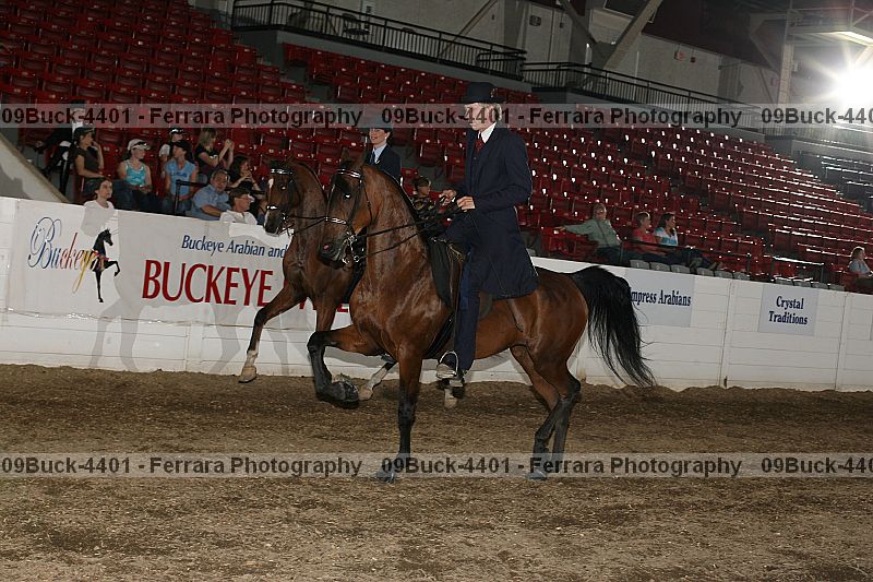 Proof 09buck-4401