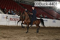09buck-4401 proof