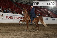 09buck-4402 proof
