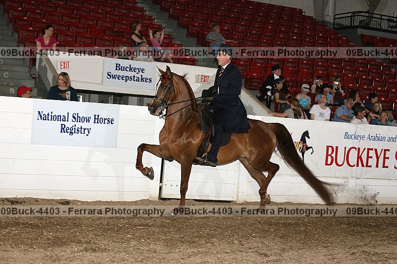 Proof 09buck-4403