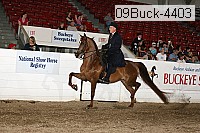 09buck-4403 proof
