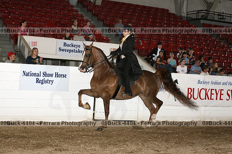 Proof 09buck-4404