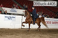 09buck-4405 proof