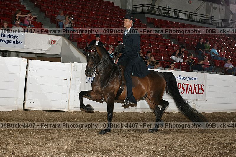 Proof 09buck-4407