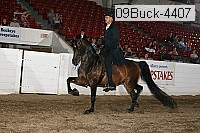 09buck-4407 proof