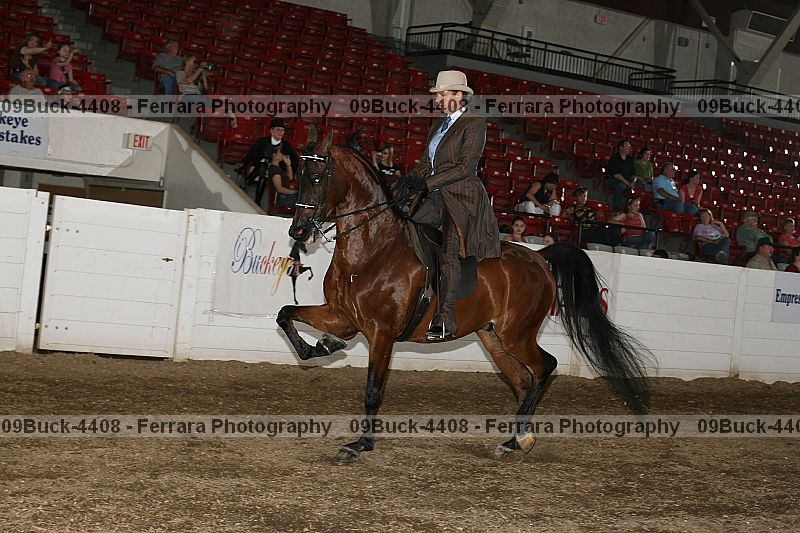 Proof 09buck-4408