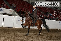 09buck-4408 proof