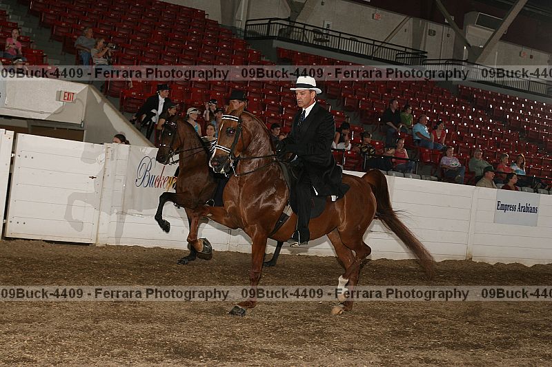 Proof 09buck-4409