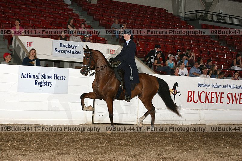 Proof 09buck-4411