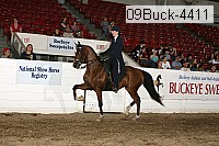 09buck-4411 proof