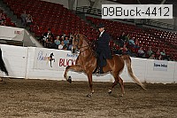 09buck-4412 proof