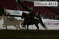 09buck-4414 proof