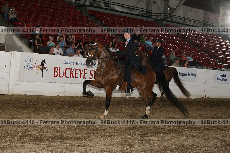 Proof 09buck-4416