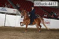 09buck-4417 proof