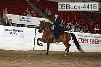 09buck-4418 proof