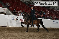 09buck-4419 proof