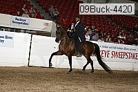 09buck-4420 proof
