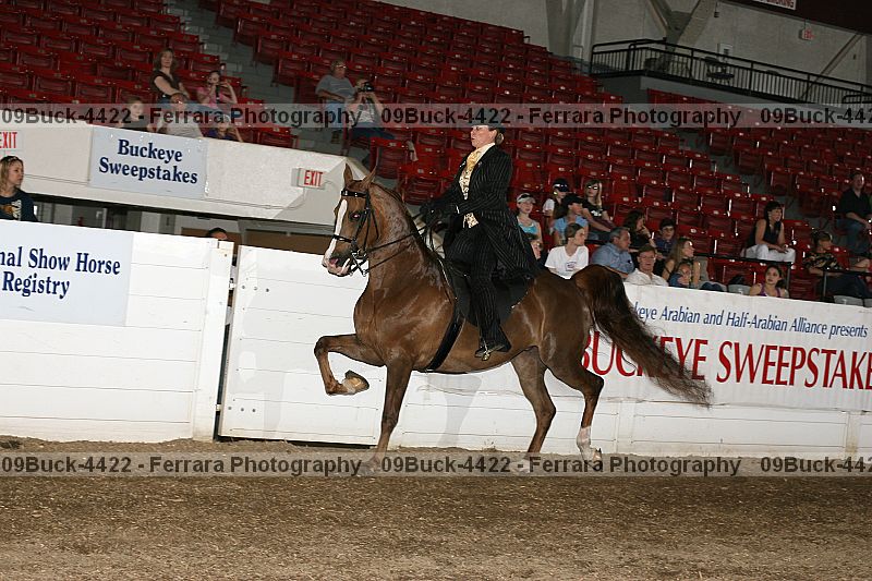 Proof 09buck-4422
