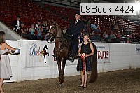 09buck-4424 proof