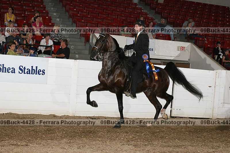 Proof 09buck-4428