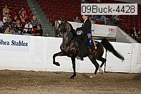 09buck-4428 proof