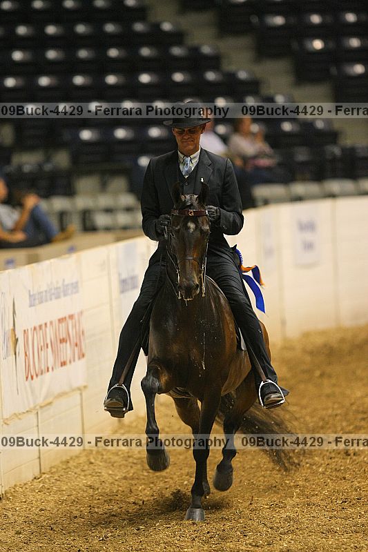 Proof 09buck-4429