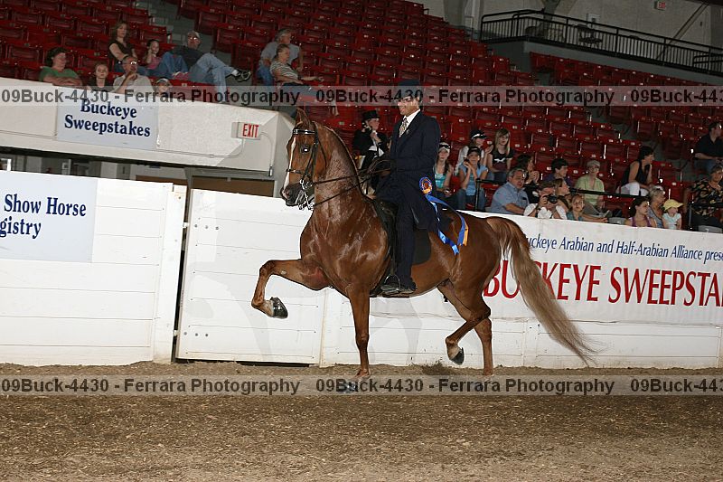 Proof 09buck-4430