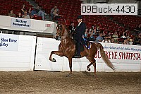 09buck-4430 proof