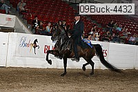 09buck-4432 proof